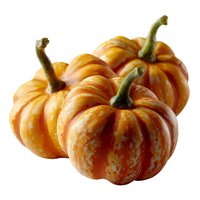Fresh orange mini pumpkins with green stems isolated on white background. Seasonal autumn decorative gourds for harvest and Halloween decor.