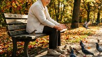 Young man in beige sweater sitting on park bench feeding pigeons during golden autumn season with colorful fallen leaves covering ground in peaceful outdoor setting.