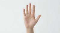 Human hand showing open palm in stop gesture against white background isolated for design and communication concepts.