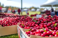 Fresh red cranberries in wooden boxes at outdoor farmers market, selective focus on ripe berries with blurred market tents and shoppers in background.