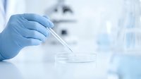 Scientist in blue latex gloves holding pipette over petri dish in laboratory setting, conducting research or chemical analysis for medical, pharmaceutical, or scientific purposes.