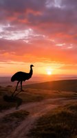 Emu silhouette standing on dirt path during dramatic sunset with vibrant orange and purple sky colors over rolling hills landscape.