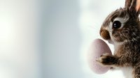 Adorable brown bunny holding pink Easter egg against soft blurred background, perfect for holiday greeting cards and spring seasonal promotions.