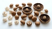 Whole and sliced brown mushrooms arranged on white background, showing caps and gills, suitable for food photography, cooking blogs, recipe illustrations, and culinary design projects.