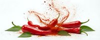 Red hot chili peppers with swirling spice powder explosion on white background, isolated fresh vegetables with green leaves.