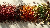 Colorful array of whole spices and herbs scattered on white surface with natural lighting creating dramatic shadows for culinary and cooking themes.