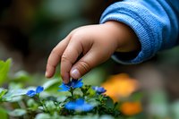Small child's hand in blue sweater sleeve gently touching delicate blue flowers in garden, soft bokeh background with orange and green natural elements.