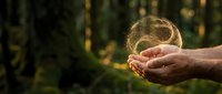 Person holding glowing earth globe in hands against blurred forest background, symbolizing environmental conservation, sustainability, and ecological responsibility for design use.