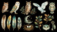 Watercolor owl clipart set with feathers, nest, moon, acorn, and key, isolated on transparent background. Ready for stickers, t-shirt design, and print on demand.