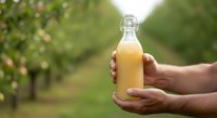 Person holding fresh apple juice bottle in orchard garden. Organic beverage production, farming, and healthy drink concept for food and agriculture marketing.