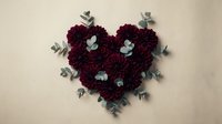 Romantic heart shape made of deep red burgundy flowers with eucalyptus leaves on neutral background for Valentine's Day wedding anniversary celebration.
