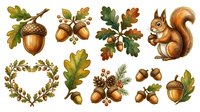 Autumn acorn and oak leaf clipart collection with squirrel, isolated on white background, ready for design projects and seasonal decorations.