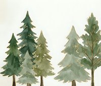 Watercolor forest trees with evergreen pines and deciduous oak in soft green tones on neutral background for nature designs and botanical artwork.