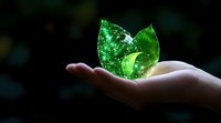 Glowing green leaves floating above open palm against dark background, symbolizing environmental conservation, sustainability and natural energy concept.