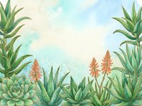 Watercolor succulent garden frame with aloe vera plants and red torch lily flowers on soft pastel background for botanical design projects.