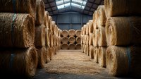 Large agricultural warehouse storing golden hay bales in organized rows under metal roof structure for livestock feed and farming operations.