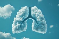 Creative conceptual composition showing human lungs formed by white fluffy clouds against turquoise sky, representing clean air, breathing and respiratory health.