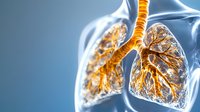 Anatomical visualization of human lungs with bronchial tree structure highlighted in golden color against blue background, showing detailed respiratory system anatomy.
