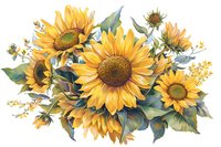 Beautiful sunflower bouquet arrangement with yellow blooms and green foliage, perfect for wedding invitations, greeting cards and summer seasonal designs, isolated on white background.