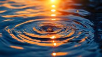 Mesmerizing water ripples with golden sunset reflections creating concentric circles on dark blue water surface, capturing tranquil nature moment at dusk.