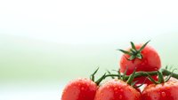 Fresh red tomatoes with water droplets on vine against soft green background for healthy cooking and organic food concepts.