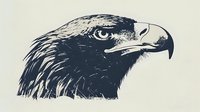 Dramatic eagle head profile in monochrome style shows sharp beak, fierce eye and detailed feather texture against light background. Artistic wildlife illustration.
