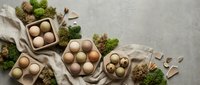 Fresh brown eggs in wooden containers with moss and natural decorative elements on neutral background for organic farm marketing.