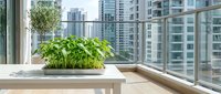 Fresh microgreens in white ceramic pot on windowsill with urban skyline view, ideal for healthy eating, wellness, and modern home decor concepts.