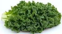 Fresh green kale leaves bunch isolated on white background, raw organic vegetable with curly texture and crisp stems for healthy cooking and salads.