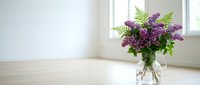 Fresh purple lilac flowers in glass vase on wooden table near window in bright minimalist interior room with natural light for home decor and spring decoration.