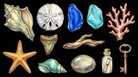 Seashells, starfish, and coral isolated on transparent background. Ready for clipart, t-shirt design, stickers, print-on-demand products, and sublimation projects.