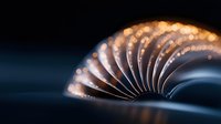 Glowing spiral book pages create magical light effect against dark background, with soft bokeh and golden illumination highlighting curved paper edges.