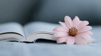 Delicate pink daisy flower resting on open book pages with soft blurred background creates serene, romantic mood for reading, literature and nature concepts.