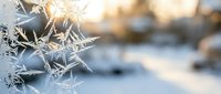 Delicate frost crystals forming intricate patterns on winter branches with warm sunlight creating bokeh effect in snowy landscape background.