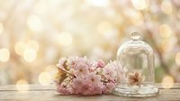 Pink flowers under glass dome cloche on wooden table with golden bokeh lights background for romantic decor and spring celebration concepts.
