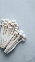 Cluster of white enoki mushrooms with delicate stems arranged on gray marble surface, suitable for culinary, food styling, and ingredient photography.