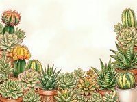 Botanical illustration of various cacti and succulents with detailed hand-drawn style arranged in terracotta pots on cream background. Ideal for home decor, gardening content, botanical designs.