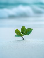 Young green plant sprouting through white sand against soft turquoise background, representing growth, hope, resilience and new beginnings.