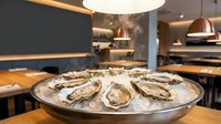 Fresh raw oysters on ice platter in upscale restaurant dining room with modern interior design and warm ambient lighting for seafood menu presentation.