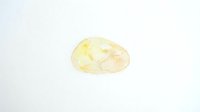 Isolated pale yellow citrine gemstone on white background, ready for jewelry design, e-commerce, and product mockup applications.
