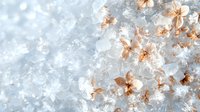 Delicate dried hydrangea petals scattered on crystalline snow surface creating ethereal winter nature composition in soft peach and white tones.