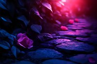 Mystical garden scene with pink roses against dark stones in dramatic purple and blue lighting, creating ethereal atmosphere with glowing highlights.