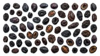 Dried raisins collection isolated on white background. Healthy organic snack ingredient for baking, cooking and nutrition.