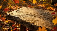 Weathered wooden log surrounded by vibrant autumn leaves in red, orange, and yellow tones, ideal for fall seasonal designs and nature backgrounds.