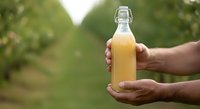 Fresh apple juice in glass bottle held by hands in orchard garden setting, organic beverage production and farm-to-table healthy drink concept.