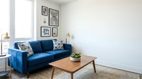 Modern living room with blue velvet sofa, wooden coffee table, and gallery wall art. Bright natural light from window. Scandinavian interior design style for home decor projects.