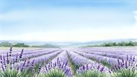 Watercolor lavender field landscape with purple flowers in rows under blue sky with white clouds and distant mountains for relaxation and aromatherapy concepts.