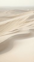 Soft sand dunes with flowing curves and gentle shadows create a serene desert landscape. Neutral tones and minimalist composition ideal for backgrounds and design projects.