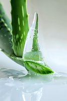 Fresh aloe vera leaf with transparent gel and water drops on light background, natural organic skincare ingredient for cosmetic and wellness.