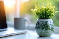 Small green plant in decorative ceramic pot on office desk with laptop and coffee mug creating peaceful workspace atmosphere with natural sunlight.